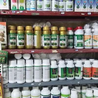 سموم دفع آفات نباتی مزارع برنج ،درختان و گل و گیاه|خدمات باغبانی و درختکاری|لاهیجان, رجایی|دیوار
