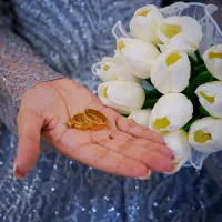 عکاسی و فیلم برادری با قیمت استثنایی