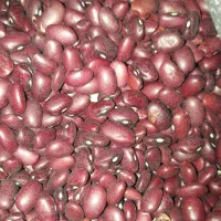 خشکبار طبیعی