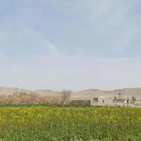 محصولات ارگانیک روستا