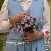 جلیقه و کت و دامن