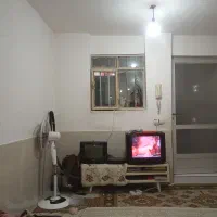 دوعدد تلویزیون