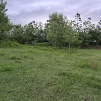 ۲۰۰متر زمین مسکونی گیلان رشت سنگر