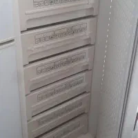 فریز ر تک