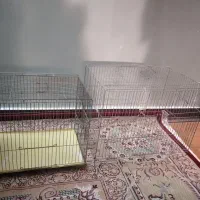 قفس پرنده|لوازم جانبی حیوانات|پاکدشت, پاکدشت (مامازند)|دیوار