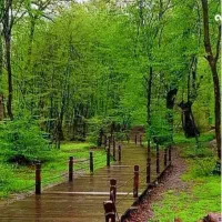 تور یک روزه ابسرده