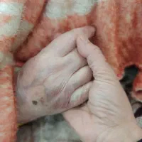 استخدام نیرو جهت نگهداری سالمند خانم محدوده انصار