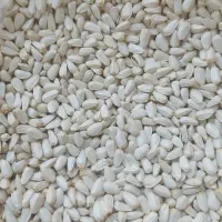 کافشه(دانه گلرنگ)بهترین دان برای روغن گیری