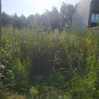 هرس باغ زمین .علفتراشی