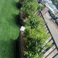 خدمات باغبانی