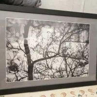 تابلو دیواری