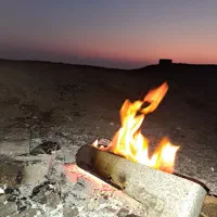 برنامه باغ