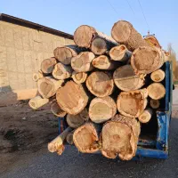 خرید و فروش انواع چوب