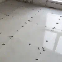 کاشی کاری ـ سرامیک کاری