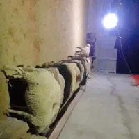 بره نره فروشی|حیوانات مزرعه|صمصامی, |دیوار