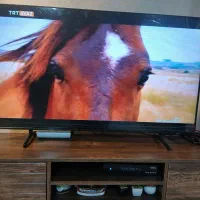 تلویزیون QLED سامسونگ 50 اینچ