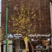 فروش یک جا ۳ طبقه اداری و ۲ طبقه تجاری
