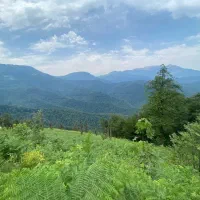 برشریعتی ۲۲۵ متر ملکیت وسرقفلی مناسب همه کار