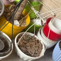 گلدان پلاستیکی تمیز