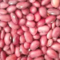 لوبیا قرمز بوجاری شده محلی