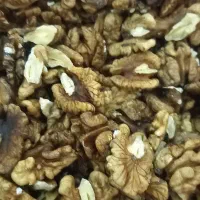 مغز گردو