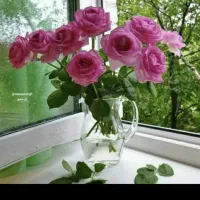 همکار خانم در گل‌فروشی