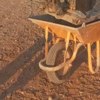استاد بنا تمام کار ماهر