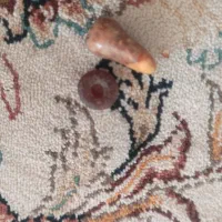 مهره|بدلیجات|ایلام, |دیوار