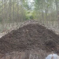 خاک کود نخودی ماسه و محصولات معدنی|خدمات باغبانی و درختکاری|بندر انزلی, چهارفریضه|دیوار