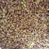 فروش عمده مواد اولیه قنادی و شیرینی‌پزی