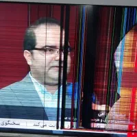 تلویزیون ۶۵ اینچ ایوا ژاپن