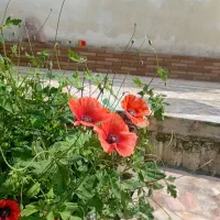 سفر به درکه