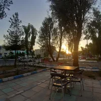 باریستا