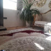 گل پاندانوس