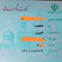 کارت گمشده فاطمه امیری