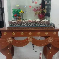 آکواریوم ماهی