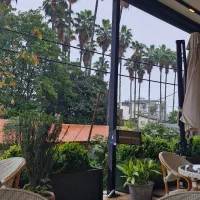 استخدام چوپان