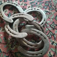 نعل کار کرده خورموج|اسب و تجهیزات اسبسواری|بوشهر, |دیوار