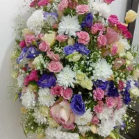 گل زیبا طبیعی|گل و گیاه طبیعی|قم, آزادگان|دیوار