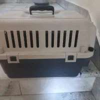 باکس حمل سگ