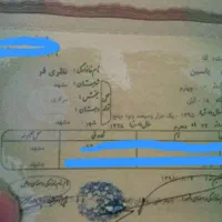 شناسنامه یاسین نظری فر