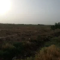 زمین حاشیه جاده