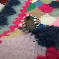 انگشتر شجر|جواهرات|شاهین دژ, |دیوار