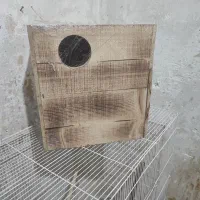 لانه چوب روس و قفس اردشیر