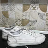 کتونی مردانه ونس