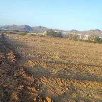 زمین گلخانه|فروش زمین و ملک کلنگی|عسگران, |دیوار