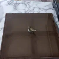 بشقاب چینی .فلاکس کودک و سرقندان و اردو خوری|ظروف سرو و پذیرایی|مشهد, رسالت|دیوار