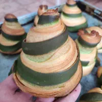 قناد هستم خشکار جویای کار