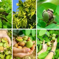 لطفا-متن-را-بخون-ضرری-نداره