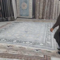 فرش حال واشپزخونه وپزیرایی،اتاق خواب|فرش|زاهدان, |دیوار